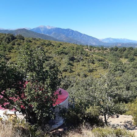 Yourte Contemporaine Avec Magnifique Vue Sur Les Montagnes Rigarda Esterno foto
