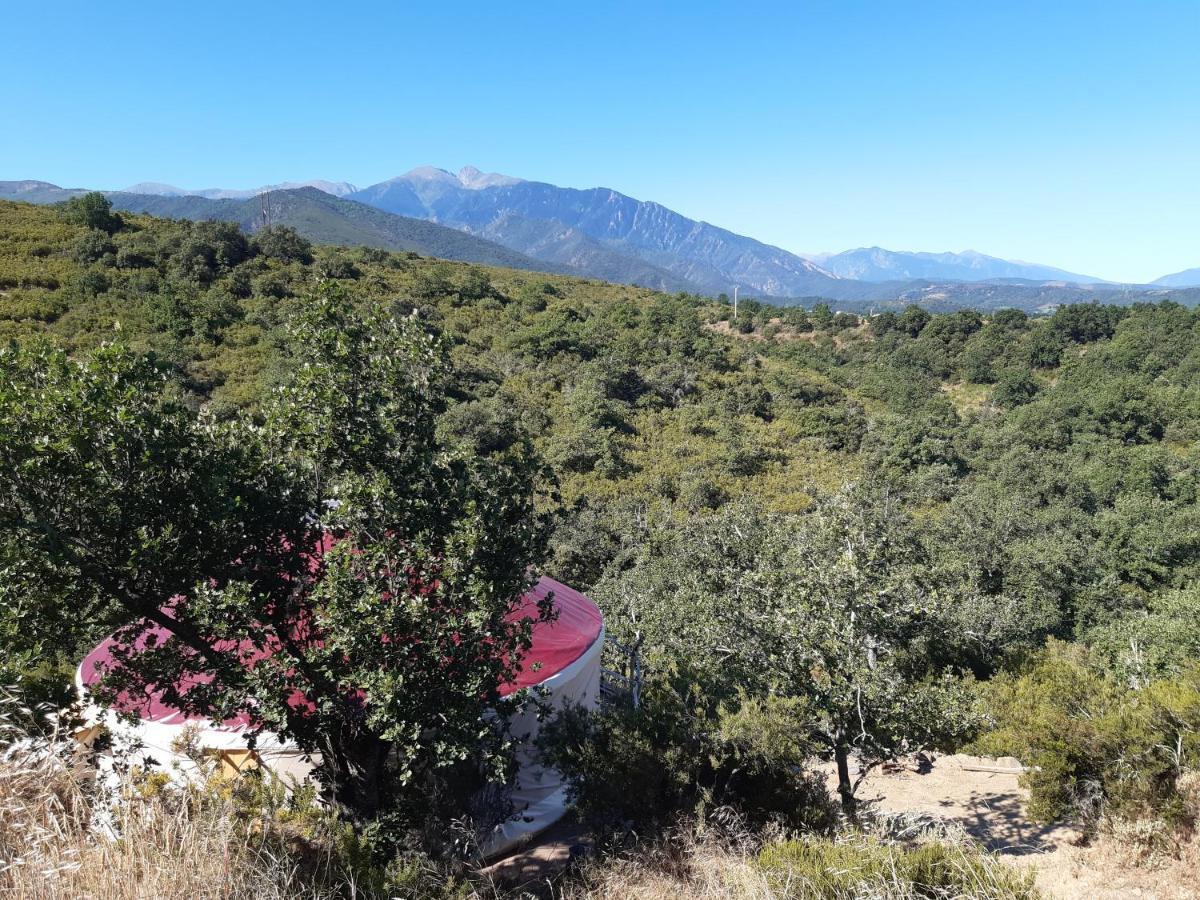 Yourte Contemporaine Avec Magnifique Vue Sur Les Montagnes Rigarda Esterno foto